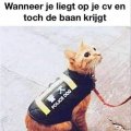 Liegen op je CV....