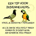 goeie tip