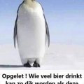 Drinken? Ikke???