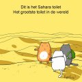 In de Sahara...