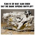 Neen, dat kan niet...