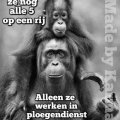 een aap blijft een aap!