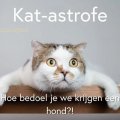 Katastrofe