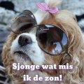 De lente is op komst!!!