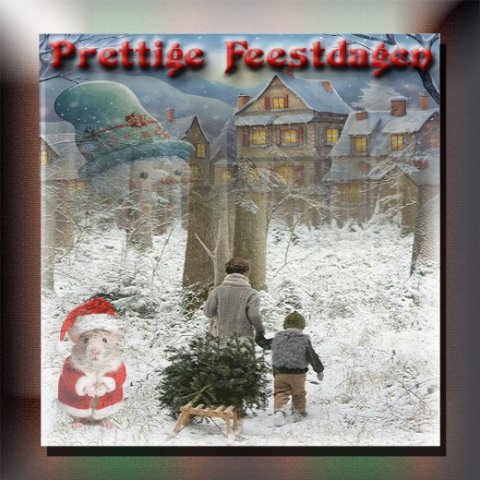 E-card Kerstmis & Nieuwjaar