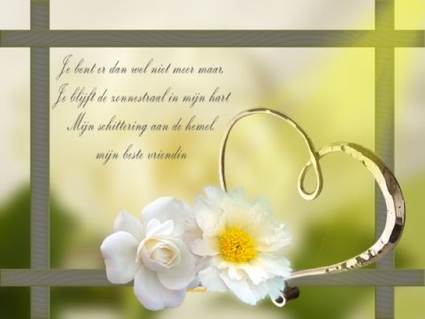 E-card Allerheiligen