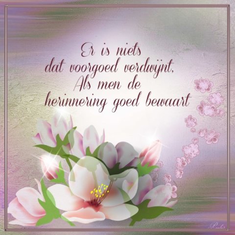 E-card Allerheiligen