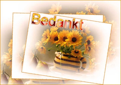 E-card Bedankt