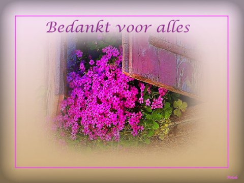E-card Bedankt