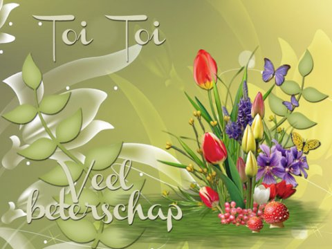 E-card Beterschap