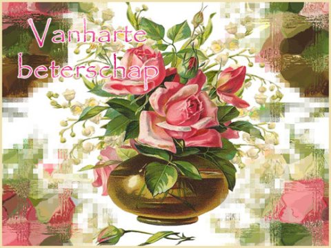 E-card Beterschap