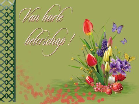 E-card Beterschap