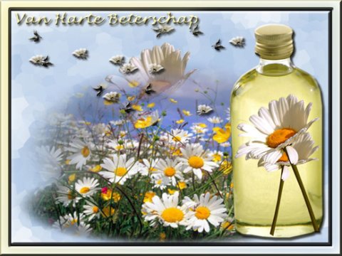 E-card Beterschap