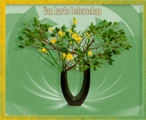 E-card Beterschap
