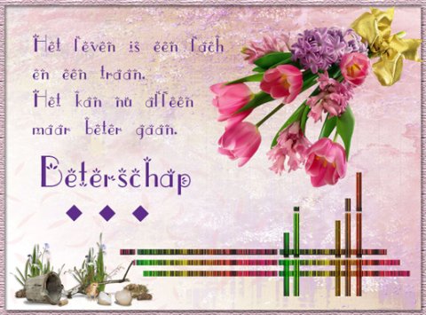 E-card Beterschap