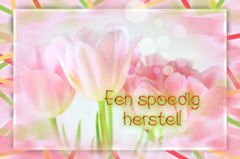 E-card Beterschap