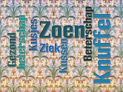 E-card Beterschap