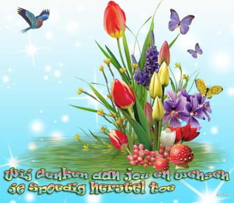 E-card Beterschap