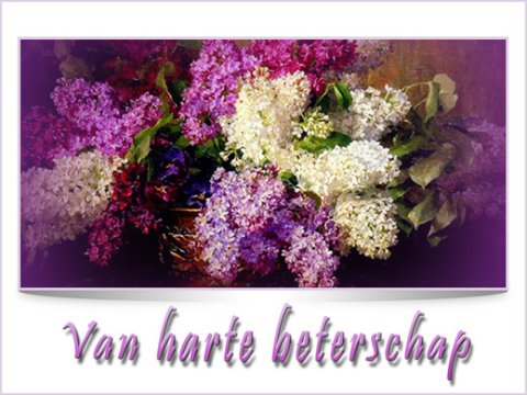 E-card Beterschap