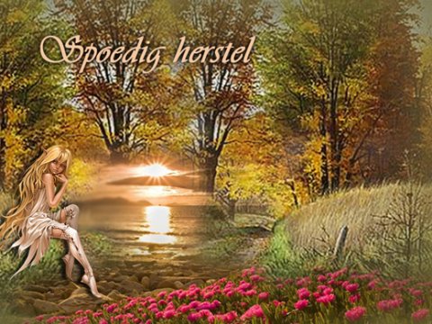 E-card Beterschap
