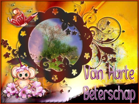 E-card Beterschap