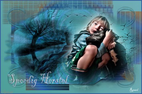 E-card Beterschap