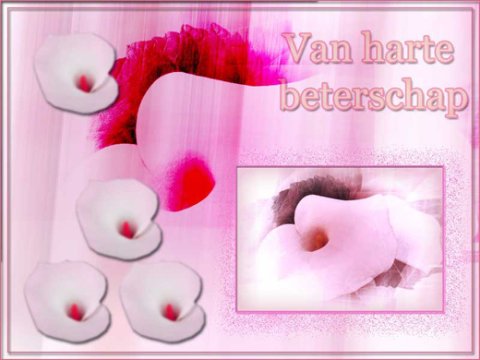 E-card Beterschap