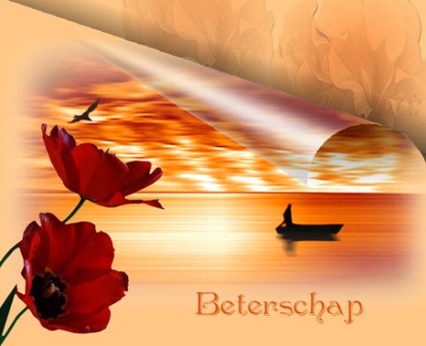 E-card Beterschap