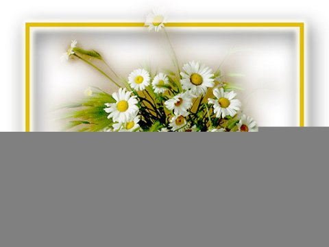 E-card Beterschap