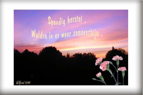 E-card Beterschap