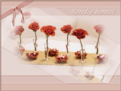 E-card Beterschap