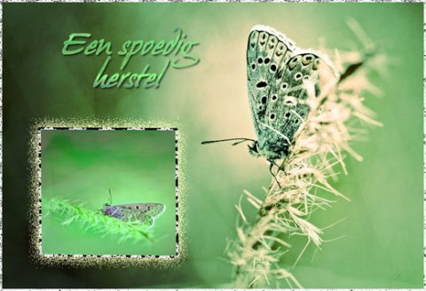 E-card Beterschap