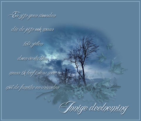 E-card Deelneming