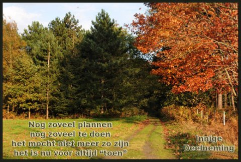 E-card Deelneming