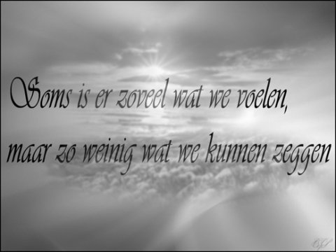 E-card Deelneming