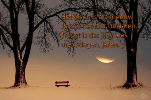 E-card Deelneming