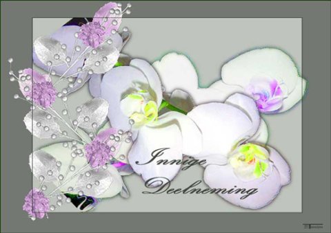 E-card Deelneming