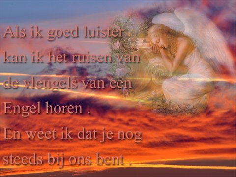 E-card Deelneming