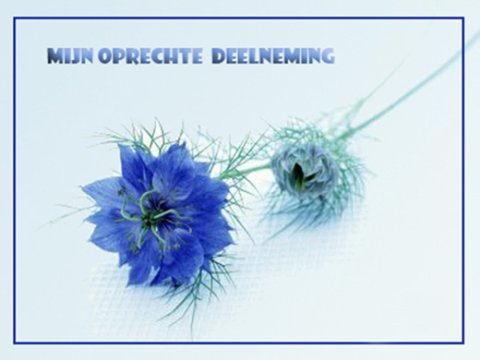 E-card Deelneming