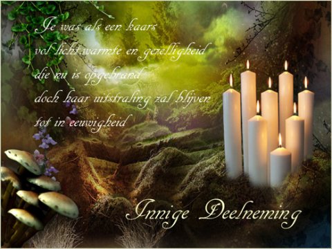 E-card Deelneming