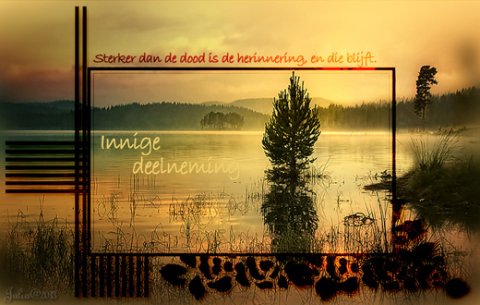 E-card Deelneming
