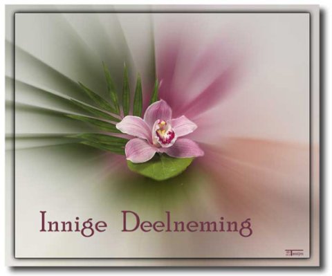 E-card Deelneming