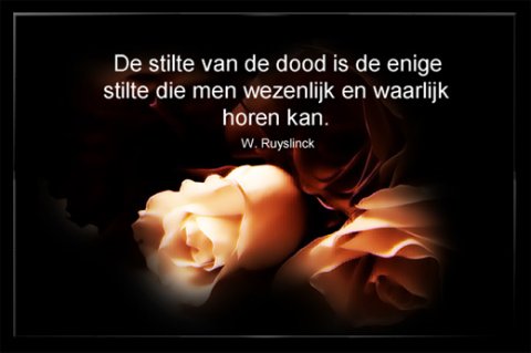 E-card Deelneming