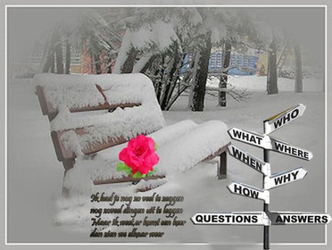 E-card Deelneming