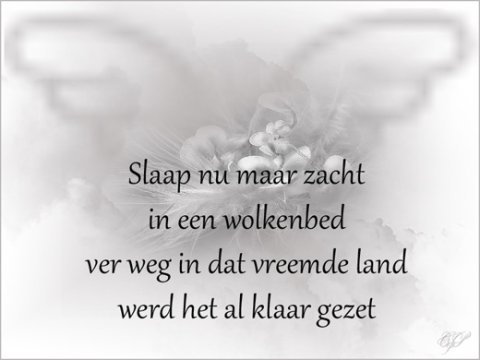 E-card Deelneming