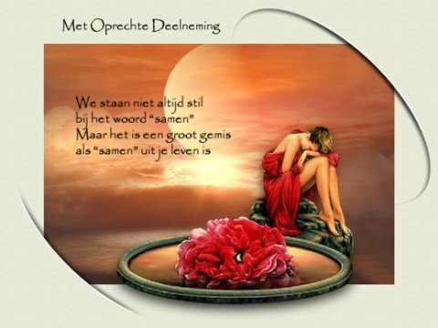 E-card Deelneming