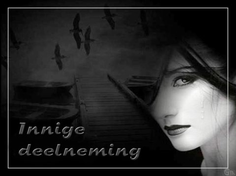 E-card Deelneming