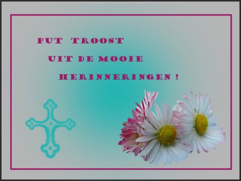 E-card Deelneming