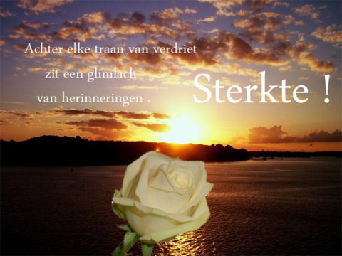 E-card Deelneming