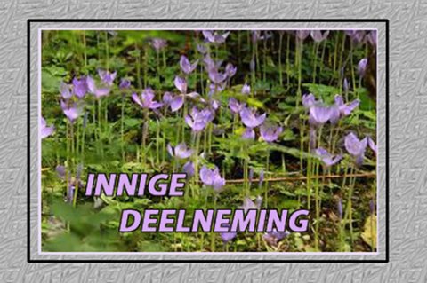 E-card Deelneming